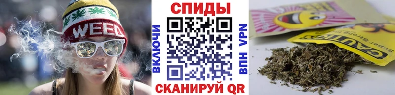 Бутират буратино Дно