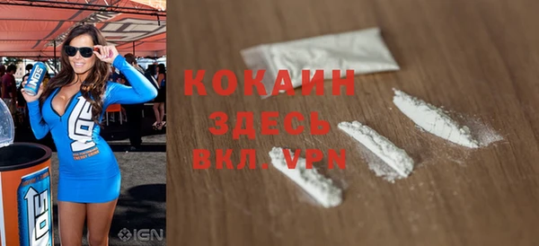 стаф Касимов