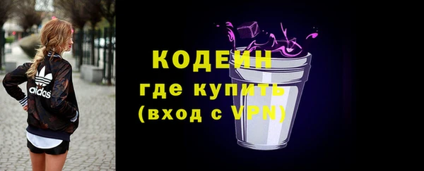 стаф Касимов