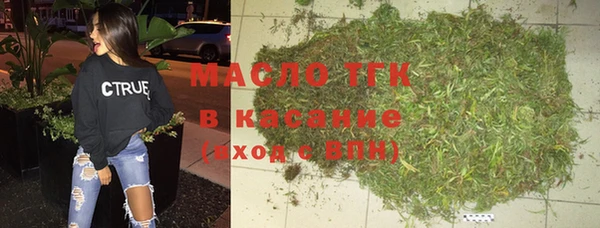 стаф Касимов