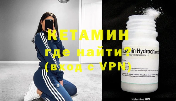 стаф Касимов