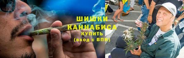 стаф Касимов