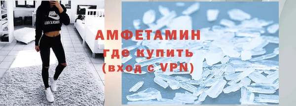 стаф Касимов