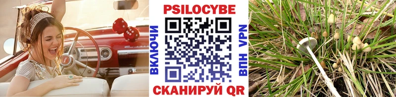 Купить закладки  Дно  Галлюциногенные грибы Psilocybe 